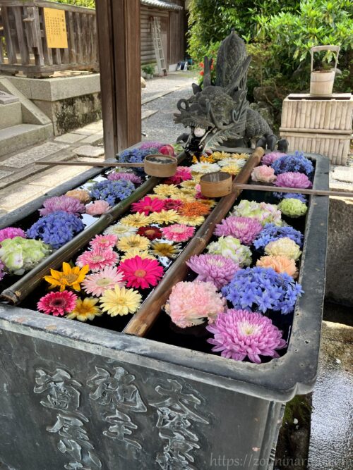 柳谷寺2026年4月の花手水