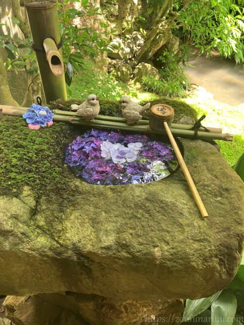 柳谷寺あじさいを使った花手水