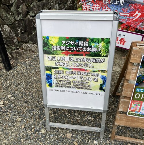 柳谷寺アジサイ階段についての案内
