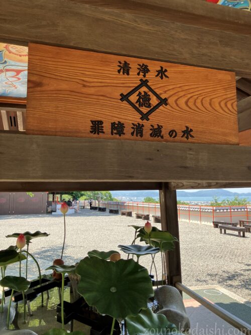 紀三井寺手水「清浄水」