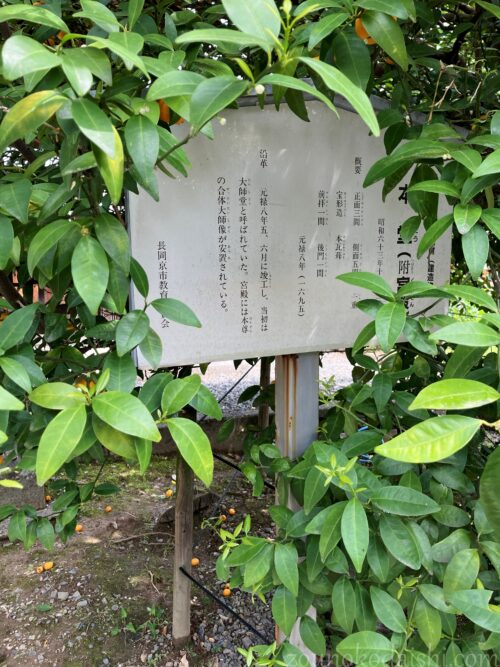 乙訓寺本堂の説明板