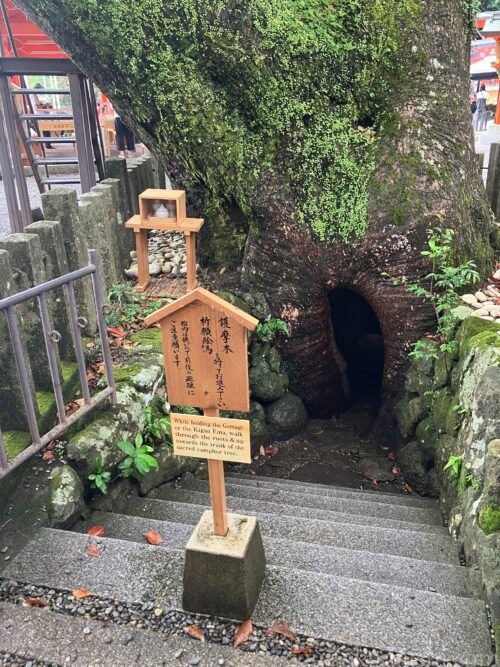 熊野那智大社大樟胎内くぐり入口