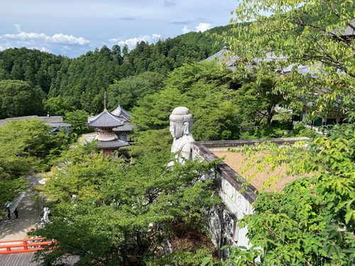 壷阪寺大釈迦如来石像(壷坂大仏)を上から見たところ