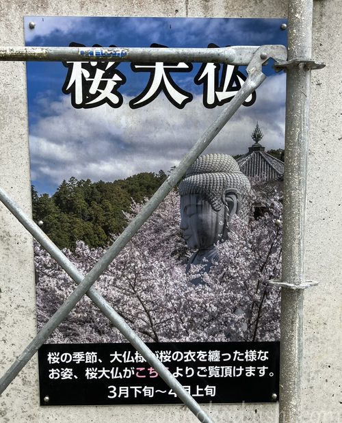 壷阪寺大釈迦如来石像(壷坂大仏)が桜をまとったポスター